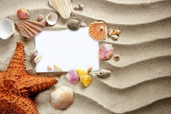 Copyspace espaço em branco verão estrelas do mar conchas de areia — Fotografia de Stock