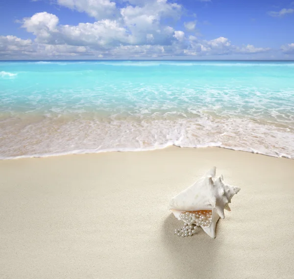 Пляжный песок жемчужное ожерелье скорлупа летних каникул — стоковое фото