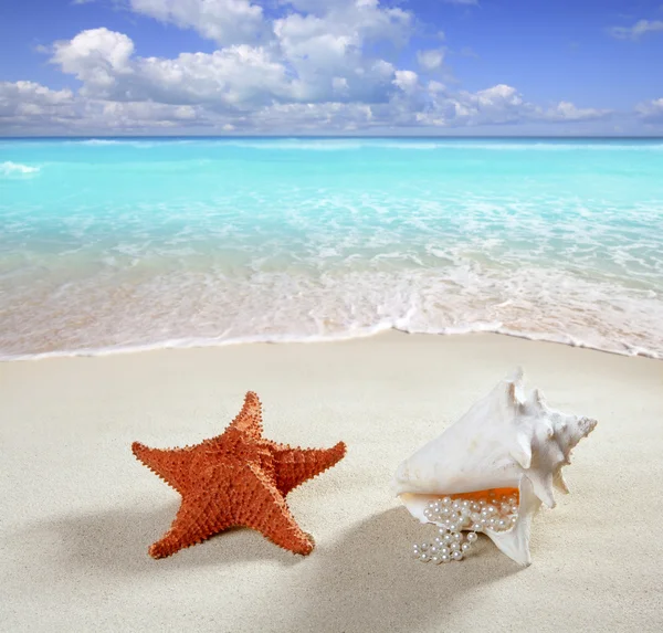 Beach sand pärlhalsband shell sjöstjärna sommaren — Stockfoto