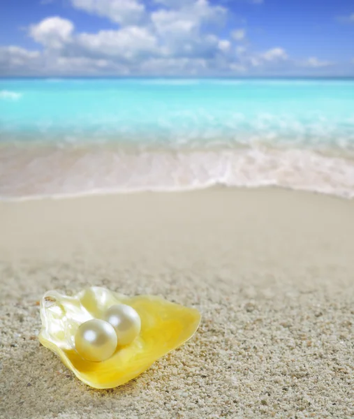 Perla caribeña sobre concha playa de arena blanca tropical —  Fotos de Stock