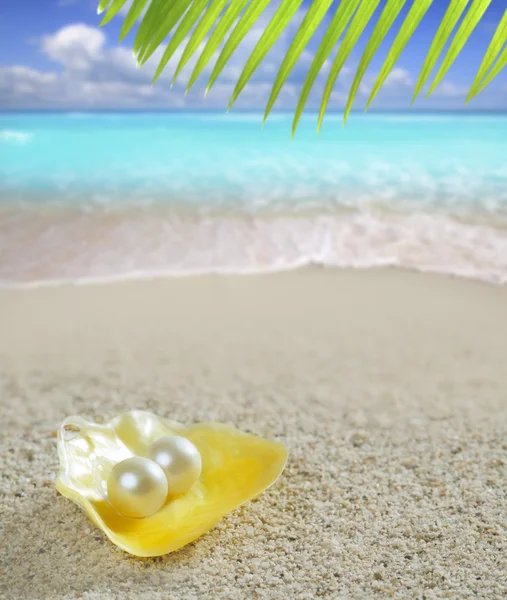 Perla caribeña sobre concha playa de arena blanca tropical — Foto de Stock