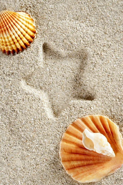 Παραλία άμμου κέλυφος αχιβάδα καλοκαίρι αστέρι εκτύπωσης διακοπές — Φωτογραφία Αρχείου