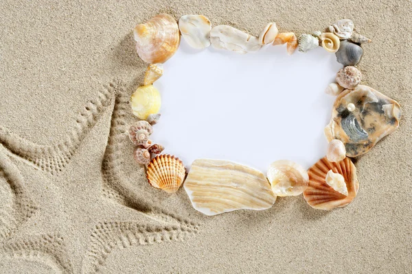 边界框夏季海滩壳海星复制空间 — 图库照片