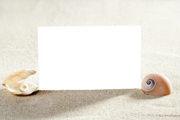 海滩度假砂珍珠壳蜗牛空白纸张 — 图库照片