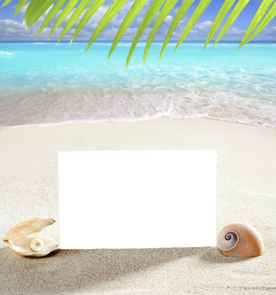 Plaj tatil kum inci kabukları salyangoz boş kağıt — Stok fotoğraf