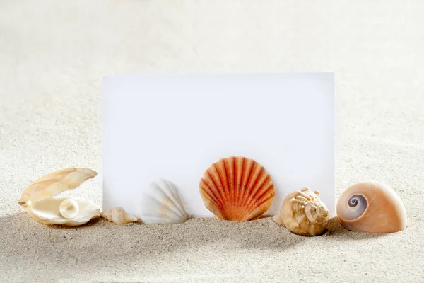 Strand Urlaub Sand Perlmuscheln Schnecke leeres Papier — Stockfoto