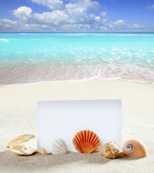 Strand vakantie zand parel schelpen slak blanco papier — Stockfoto