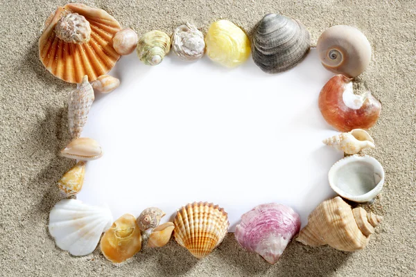 Hranice rámečku letní beach shellu prázdné kopie prostor — Stock fotografie