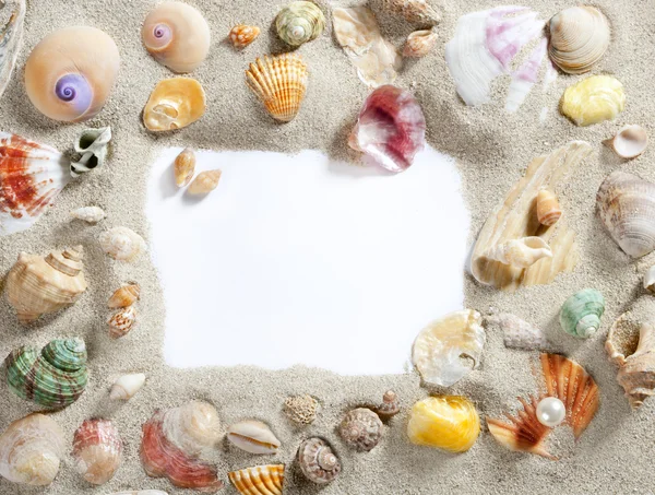 Frontera marco verano playa shell espacio de copia en blanco —  Fotos de Stock