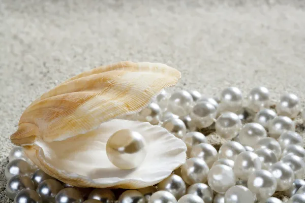 Plaży biały piasek perłowej muszli małż makro — Zdjęcie stockowe