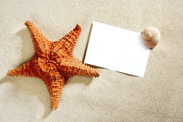 Blank paper beach sand starfish shells summer — Stock Photo, Image