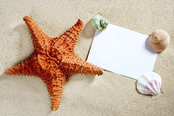 Üres papír tengerparti homokot tengeri kagyló nyári — Stock Fotó