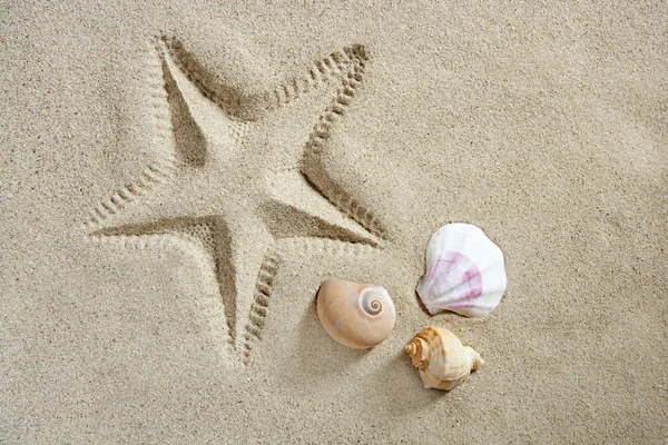 Strand zand starfish afdrukken schelpen en zee slak zomer — Stockfoto