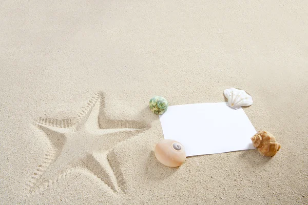 Prázdný papír písek z pláže hvězdice půllitr skořápky léto — Stock fotografie