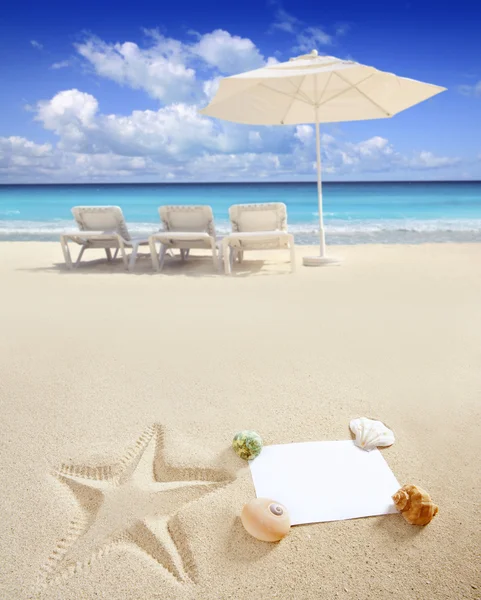 Caribbean beach sea blank copy space starfish shells — Stock Photo, Image