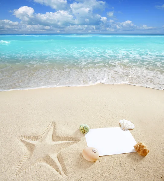 Mar Caribe playa en blanco espacio de copia conchas de estrellas de mar — Foto de Stock