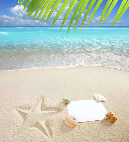Mar Caribe playa en blanco espacio de copia conchas de estrellas de mar — Foto de Stock