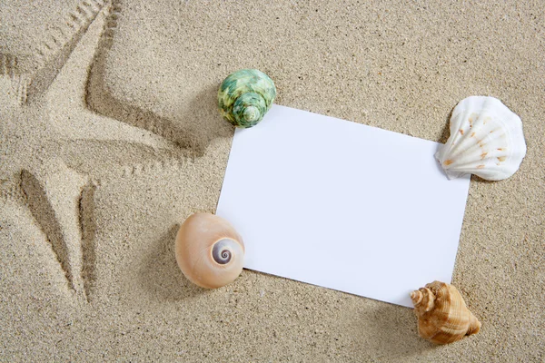 Papel en blanco playa arena estrellas de mar pinta conchas verano —  Fotos de Stock