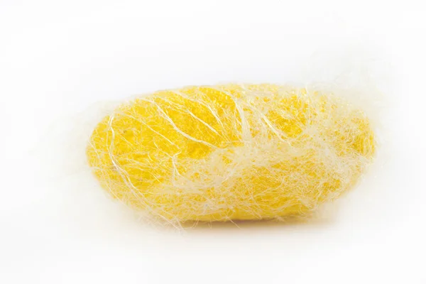 Closeup silkworm yellow cocoon isolated on white — Stock Photo, Image