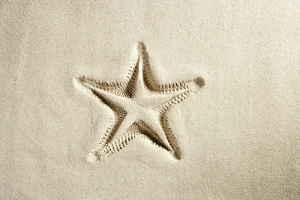 Beach starfish print white caribbean sand summer — Stock Photo, Image