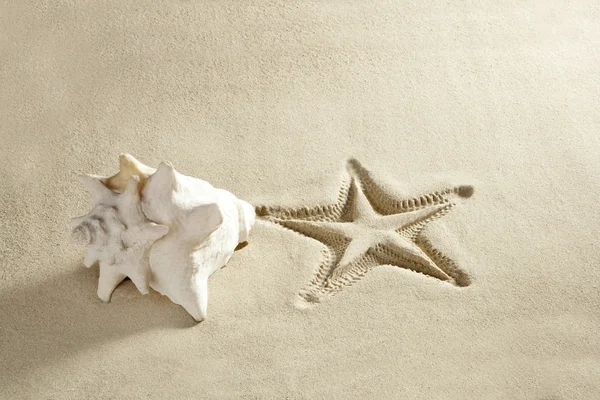 Spiaggia stelle marine guscio stampa sabbia bianca caraibica — Foto Stock