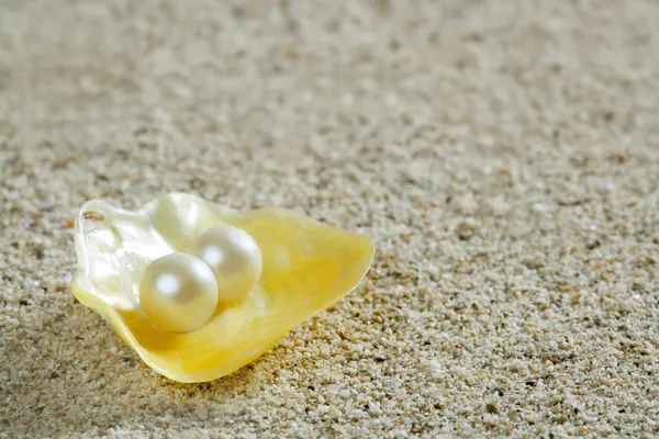 Μαργαριτάρι στο κέλυφος κίτρινο καλοκαίρι τροπικά αμμουδιά — Φωτογραφία Αρχείου