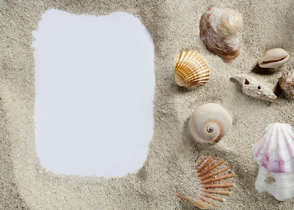 Fronteira quadro verão praia shell espaço em branco cópia — Fotografia de Stock