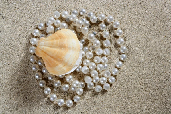 Пляж білий пісок перламутровий молюск макро — стокове фото