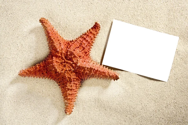 Blank paper beach sand starfish summer vacation — Stock Photo, Image