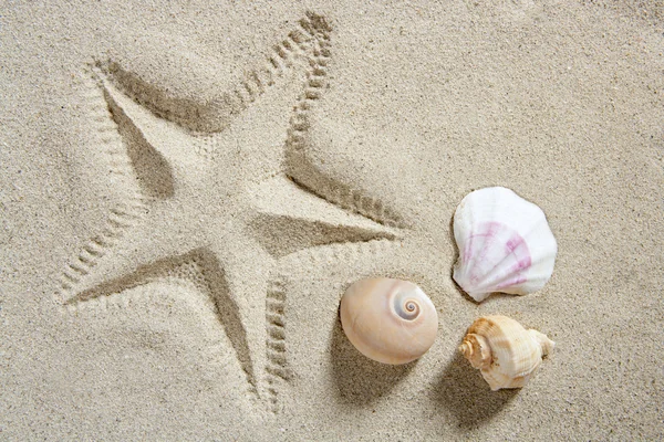 Spiaggia sabbia stelle marine stampa conchiglie e lumaca di mare estate — Foto Stock