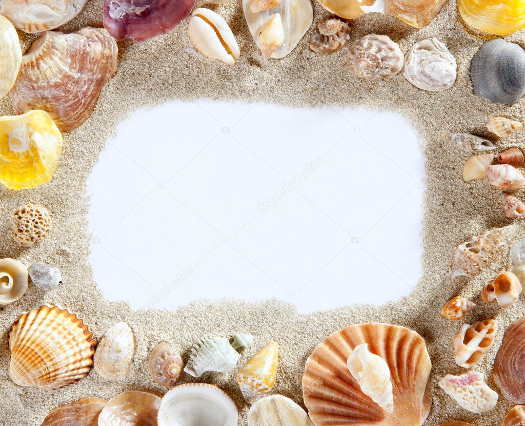 Border frame summer beach shell blank copy space