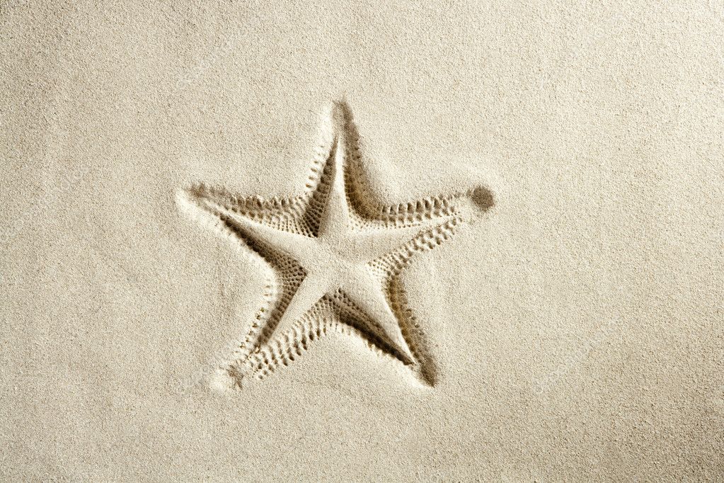 étoile De Mer Plage Imprimer Lété Sable Blanche Des