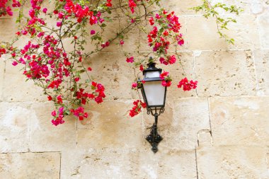 Bougainvilleas in stone wall and street light in Mediterranean clipart