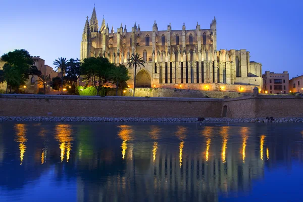 Katedra w Majorka w palma de mallorca Baleary — Zdjęcie stockowe