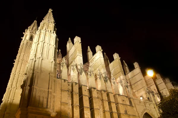 Catedral de Mallorca en Palma de Mallorca noche —  Fotos de Stock