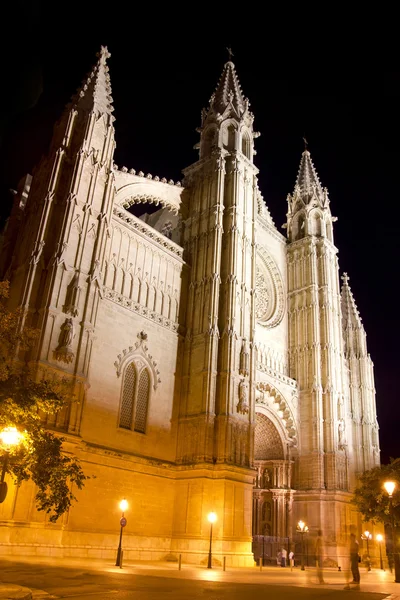Bir palma de mallorca gece Mayorka Katedrali — Stok fotoğraf