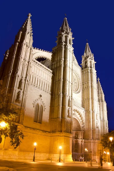 Catedral de Mallorca en Palma de Mallorca noche — Foto de Stock