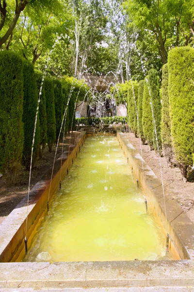 퐁텐 읽힌 델 레이의 정원 팔 마 드 마요르카 — 스톡 사진