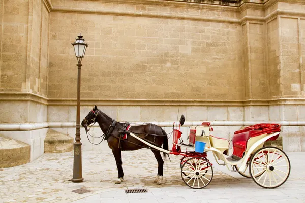 Carrozza con cavallo nella cattedrale di Maiorca a Palma — Foto Stock