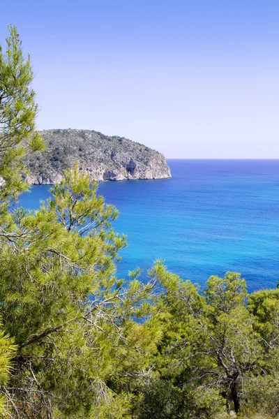 Andratx Camp de Mar in Mallorca Balearic Islands — Stock Photo, Image