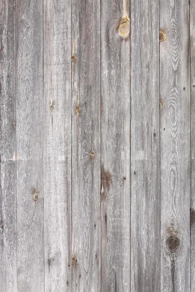 Gray wood background — Stock Photo, Image
