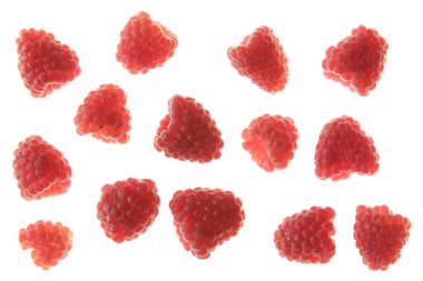 Raspberries clipart