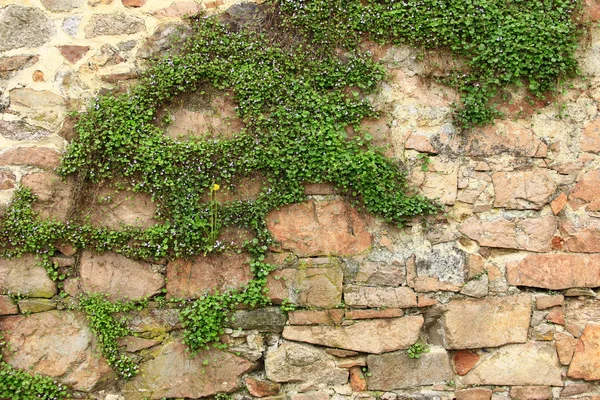 A természetes kövek fal — Stock Fotó