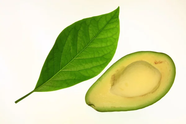 Gehalveerde avocado — Stockfoto