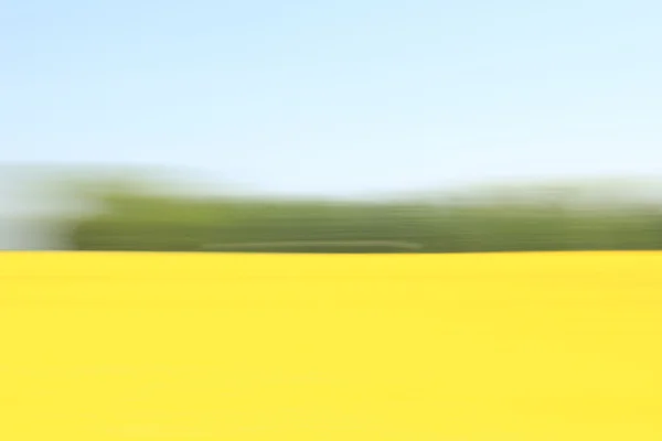 Rape field blurred — Stock Photo, Image