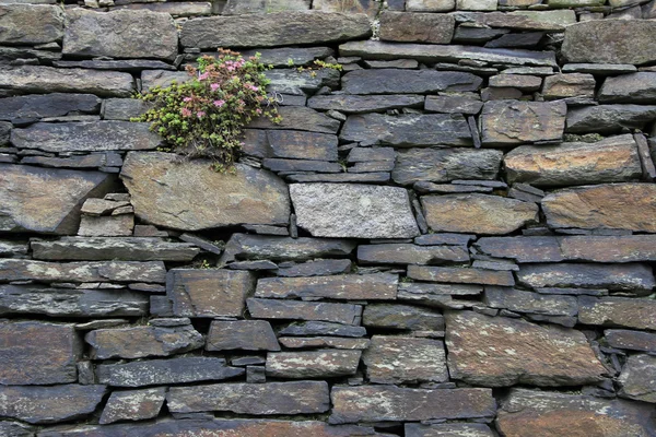 Zeď z přírodních kamenů — Stock fotografie