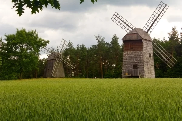 Dos viejos molinos de viento en el campo de maíz en el fondo de los frentes —  Fotos de Stock