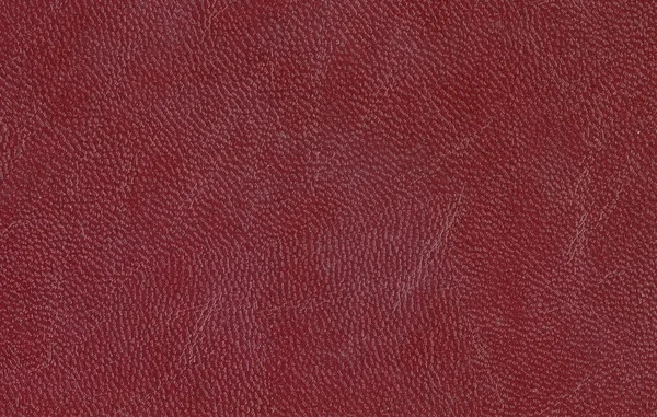 Brown Leather Texture — Stock Photo, Image