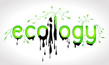 Ekoloji yazıt