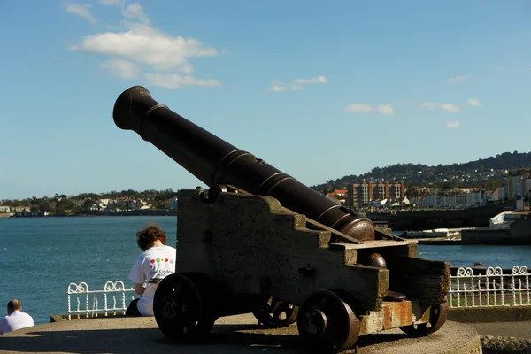 Stock image Cannon